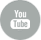 Ambassador Youtube