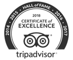 TripAdvisor 2018